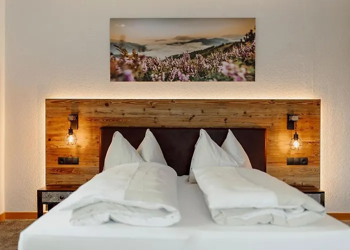 Beste Hotels in het centrum van Flachau