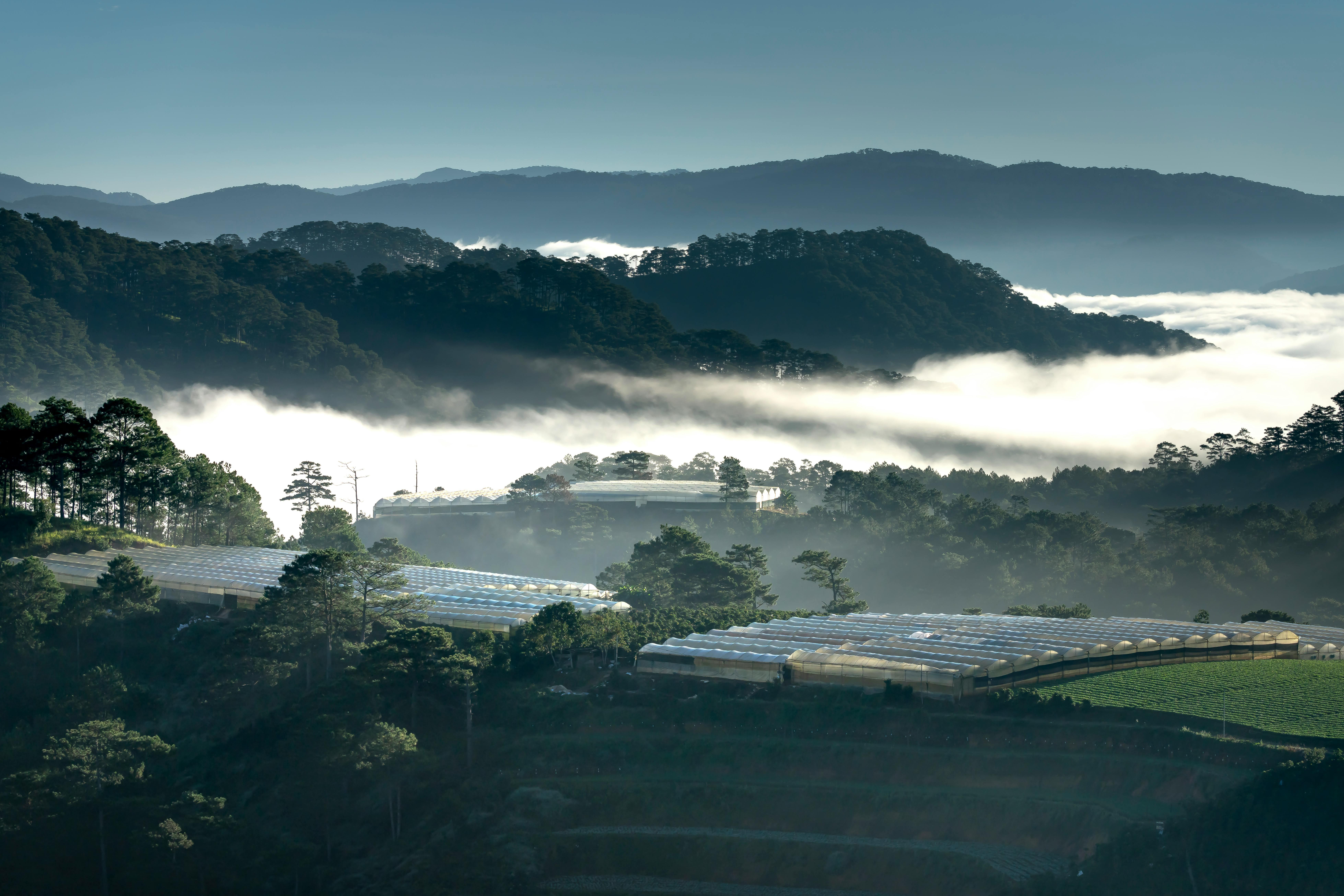 Da Lat 24H Guesthouse & Hotel