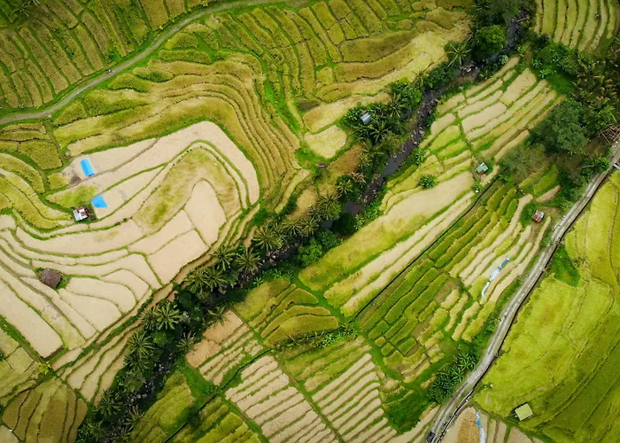 Hotéis de Ubud