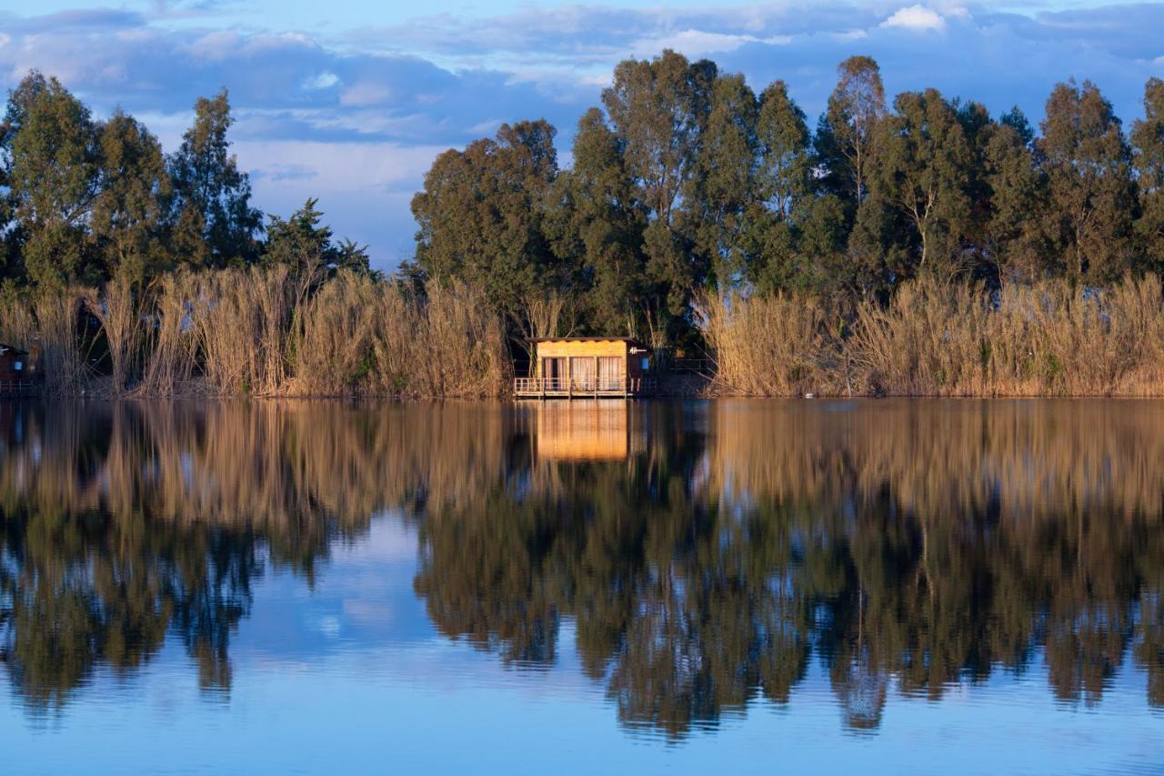 Cottage Lake View