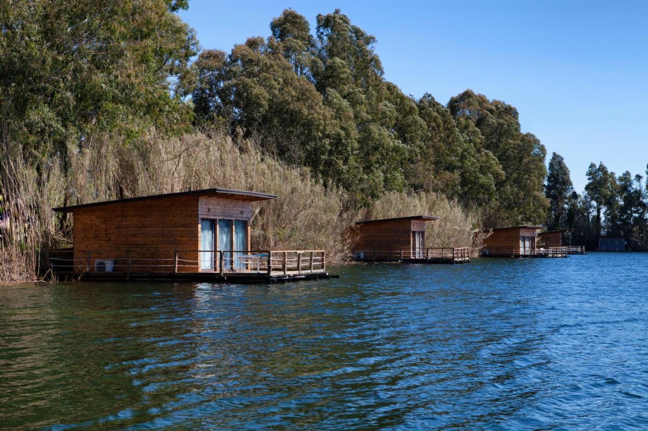 Cottage Lake View
