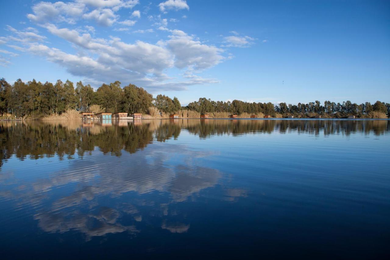 Cottage Lake View