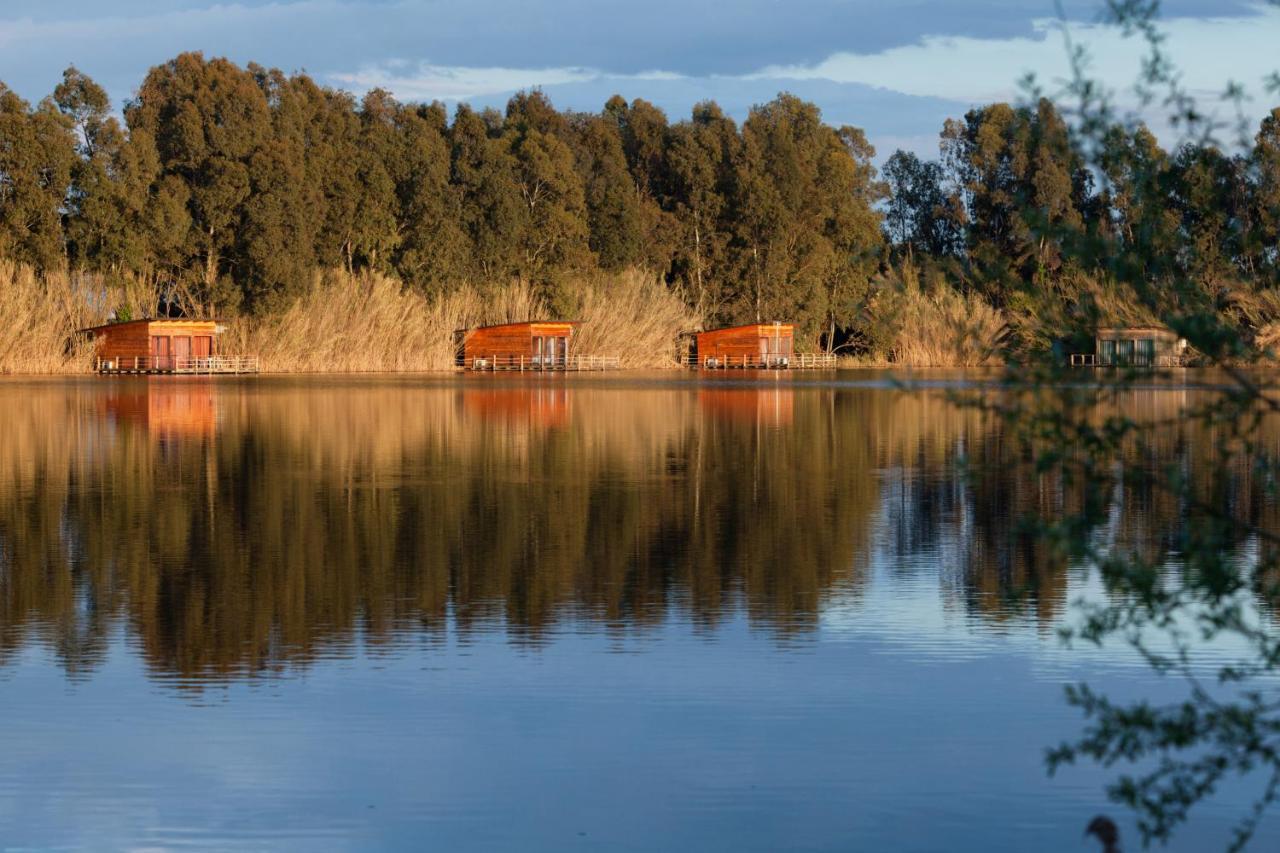 Cottage Lake View