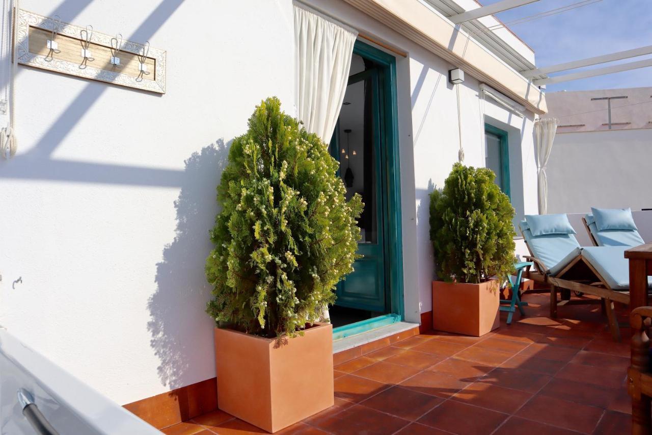 Suite Terrace