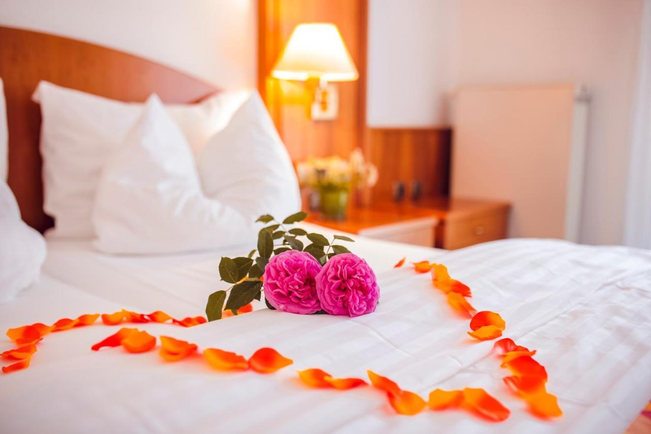 Comfort Single Room
