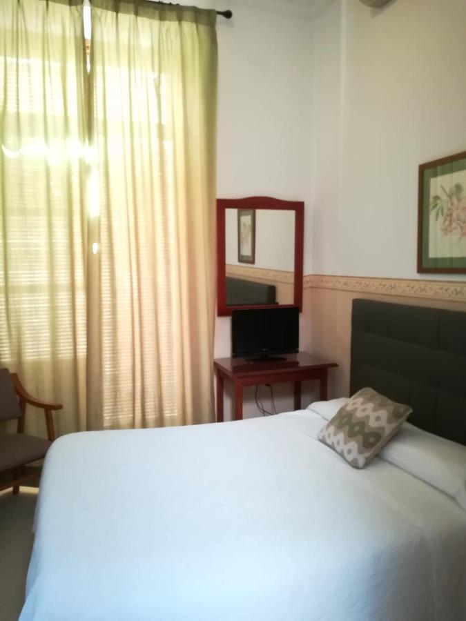 Superior Single Room,971989045:JPEG