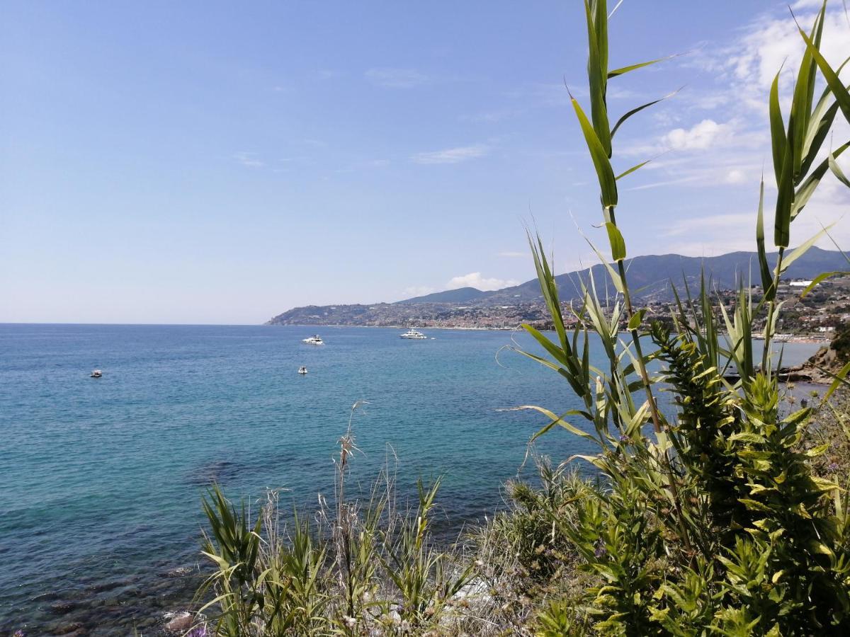 Studio Sea View