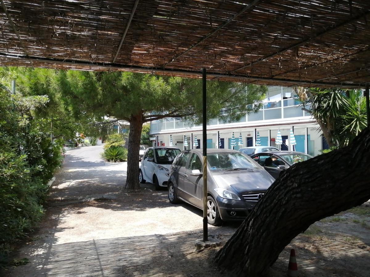 Studio Sea View