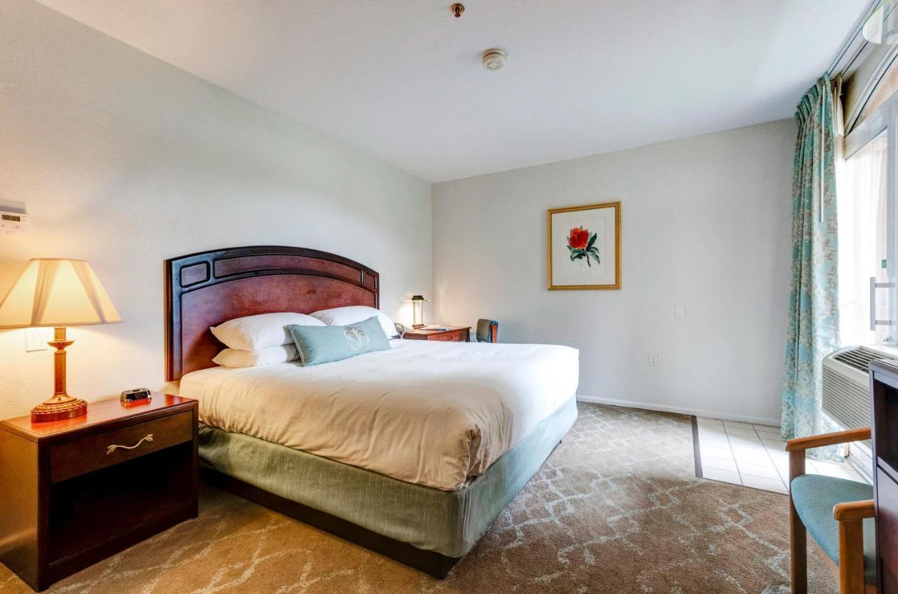 Standard King Accessible Room