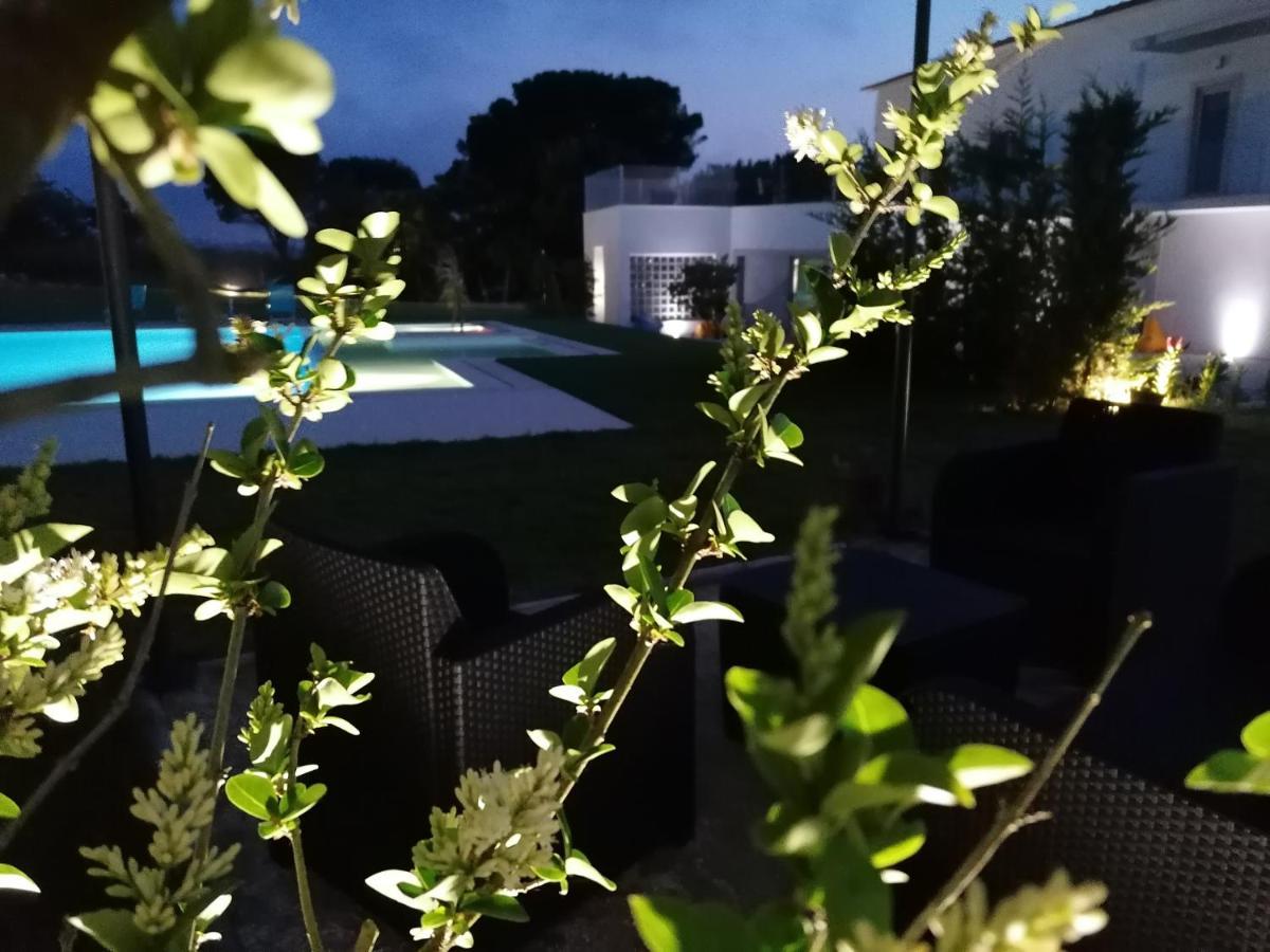 Double Room Pool View