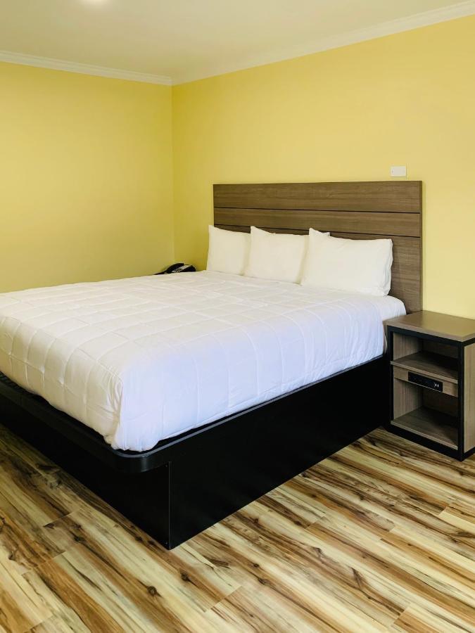 Queen Room,1014054658:JPEG