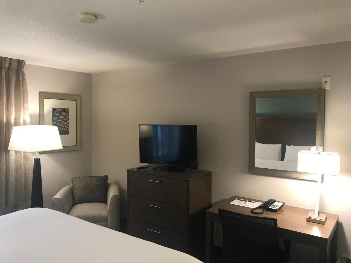 King Studio Suite,931116439:JPEG