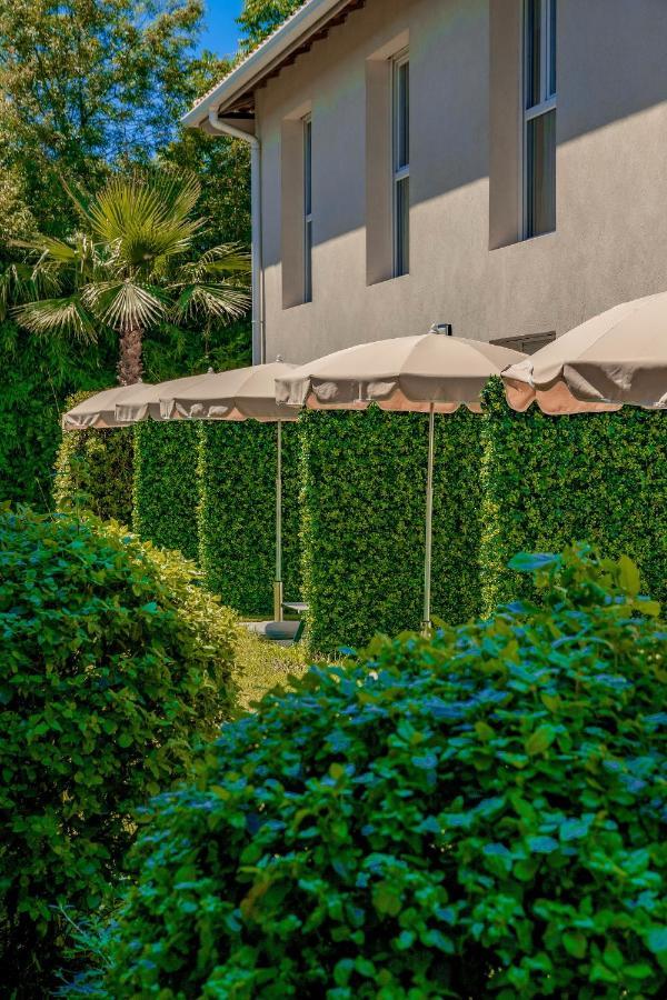 Double or Twin Room Terrace