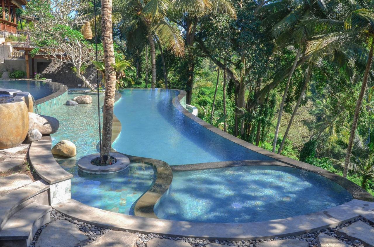 Deluxe Double or Twin Room Garden View