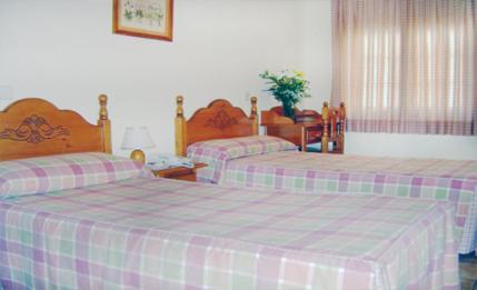 Economy Twin Room