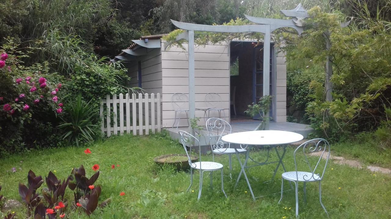 Family Room Garden View