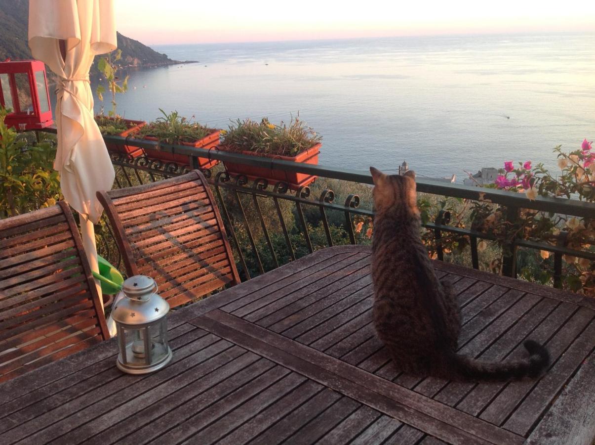 Suite Sea View,1032453266:JPEG