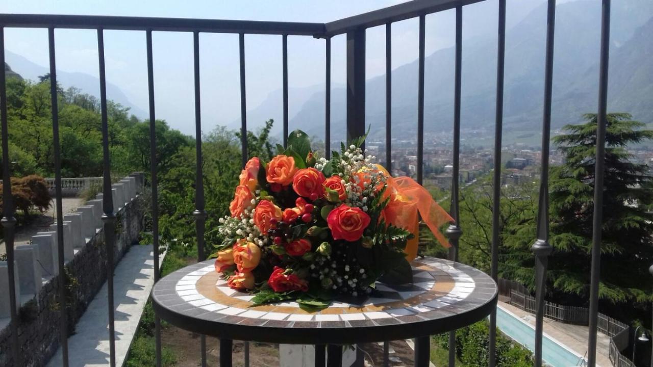 Deluxe Double or Twin Room Garden View
