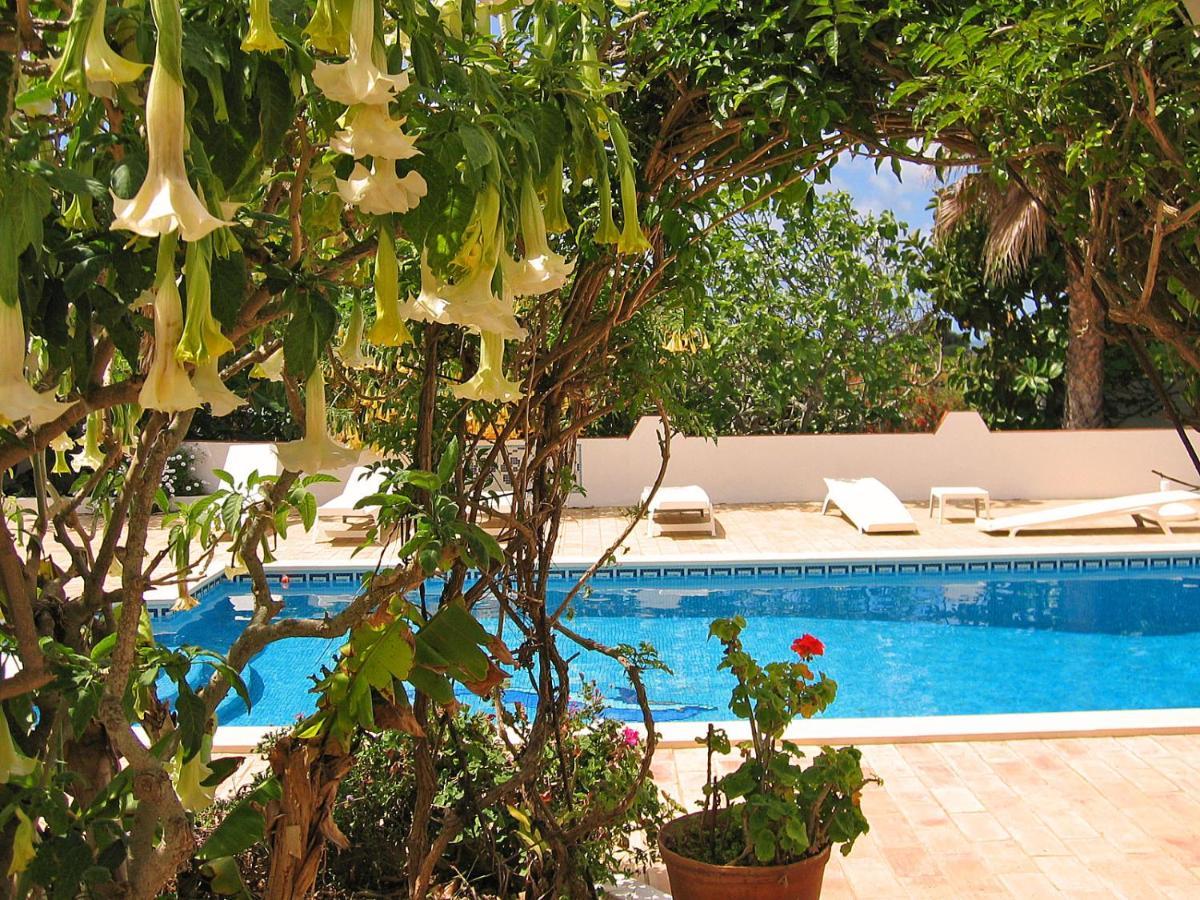Apartment Pool View