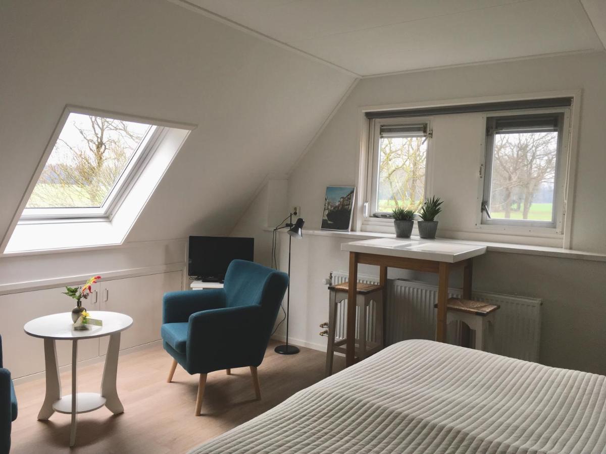 Large Double or Twin Room