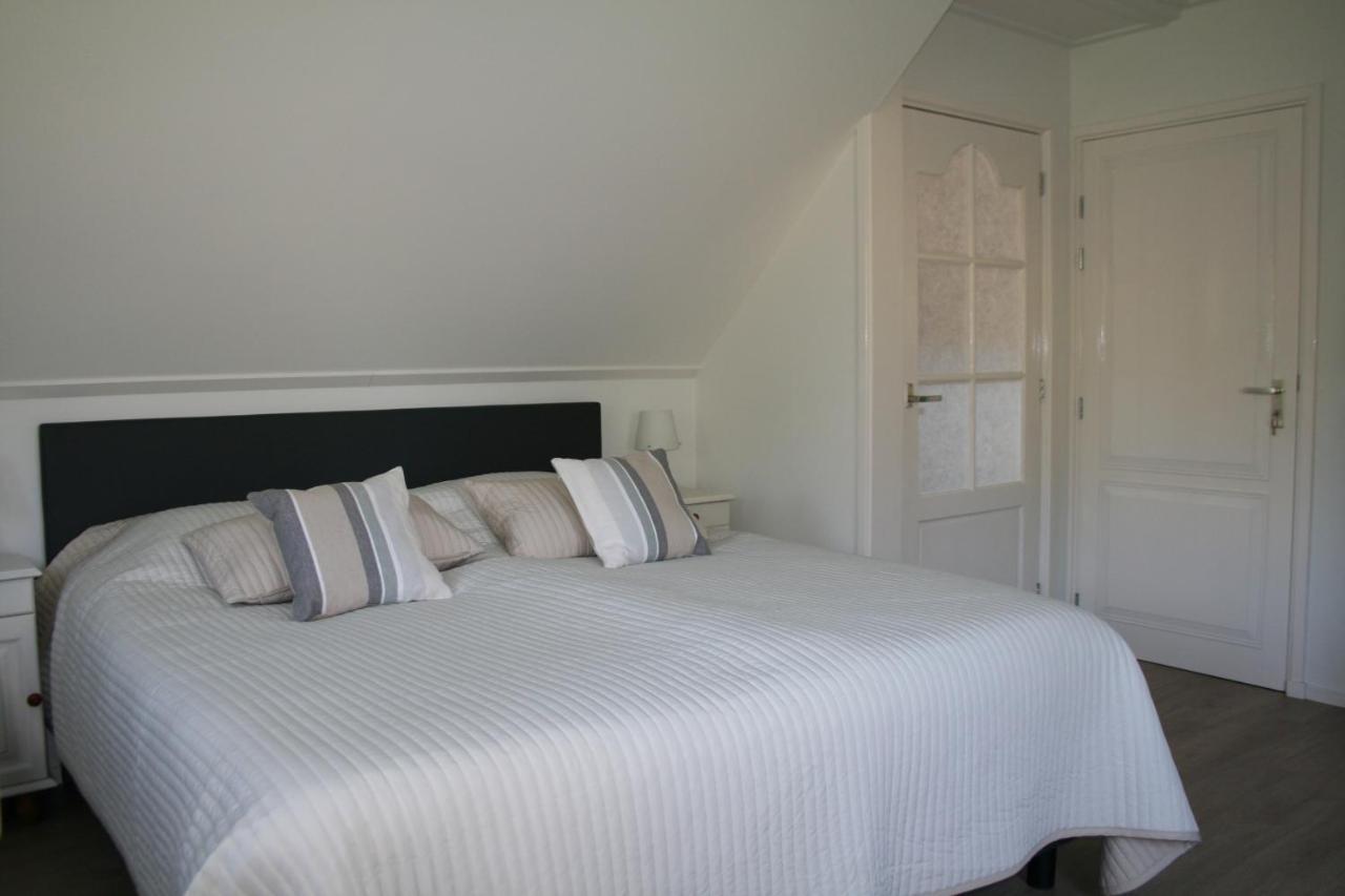 Large Double or Twin Room