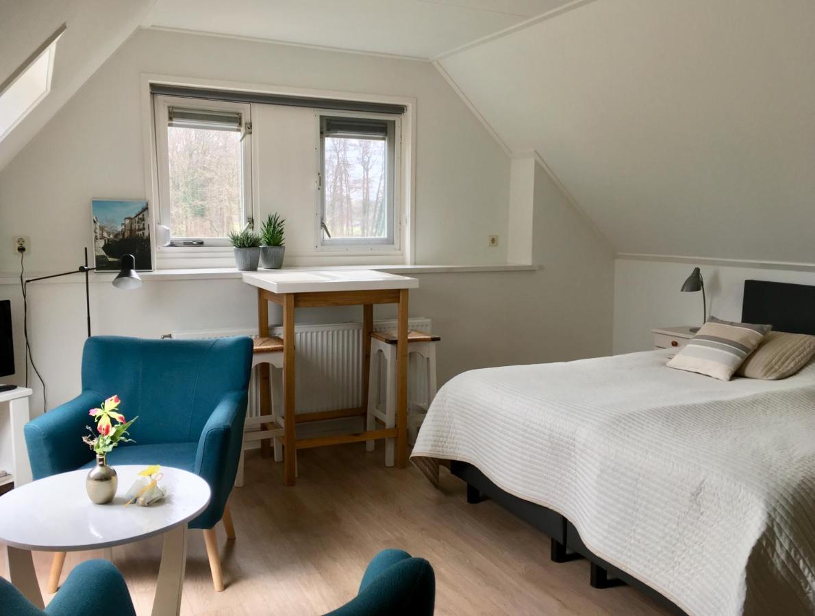 Large Double or Twin Room