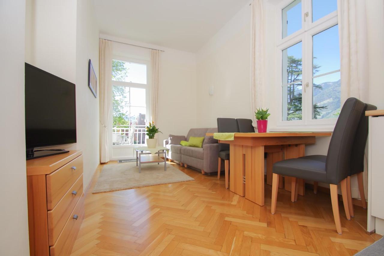 One-Bedroom Apartment Balcony Mountain View
