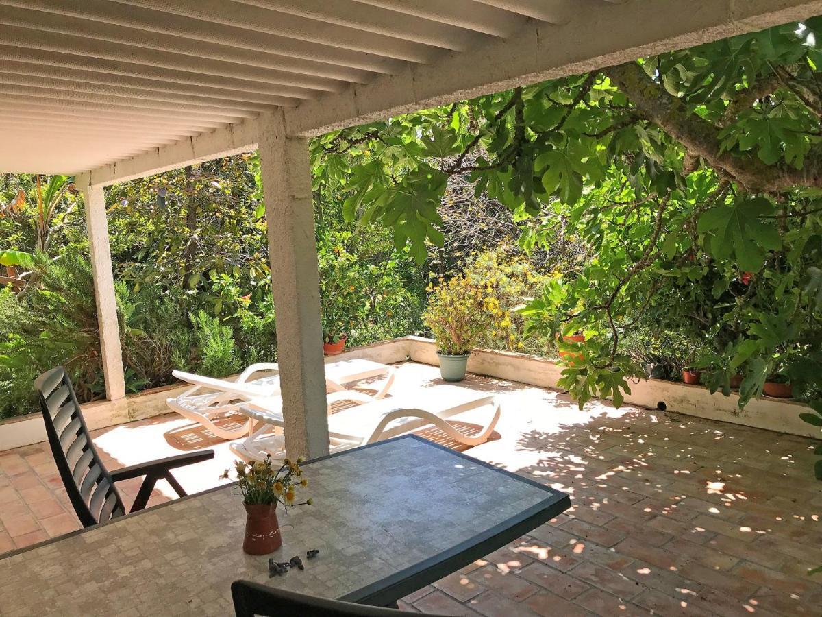 Apartment Terrace