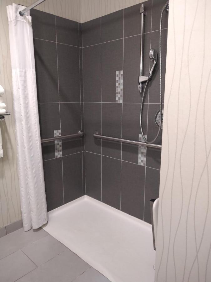 King Suite with Roll-in-Shower - Accessible/Non-Smoking