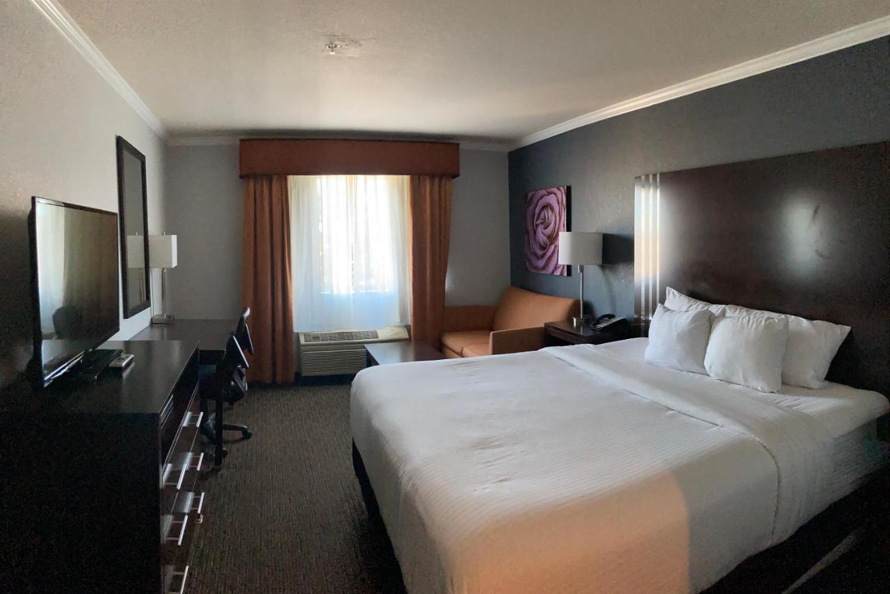 Deluxe King Suite View Non-Smoking
