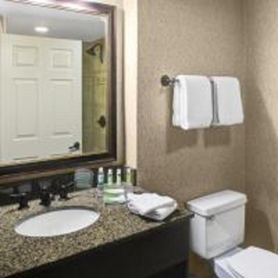 Standard King Room Mobility Accessible Roll Shower