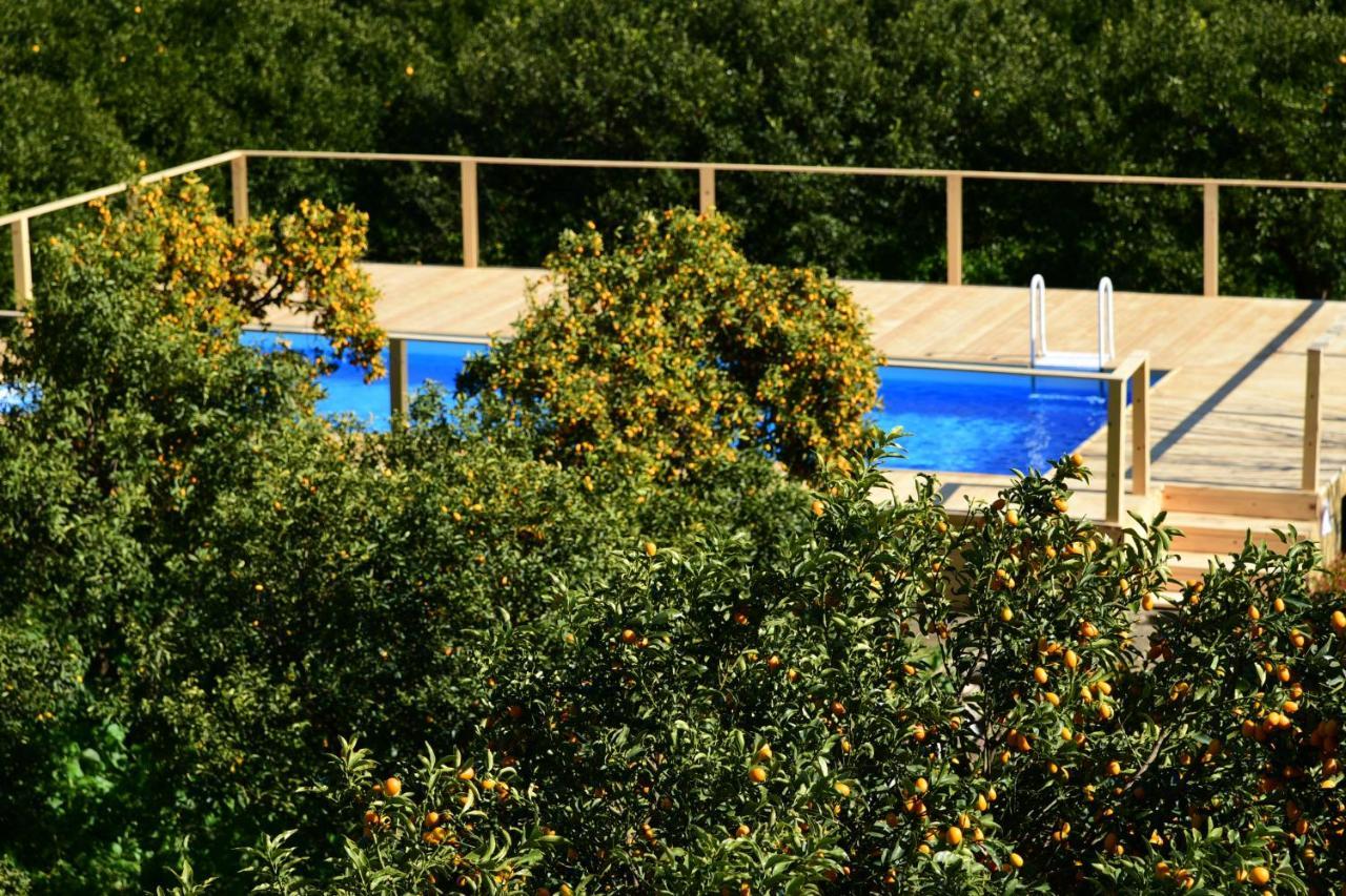 Double Room Garden View