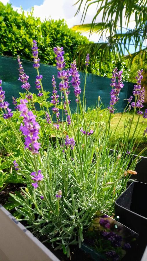 Double Room Garden View,1051716109:JPEG