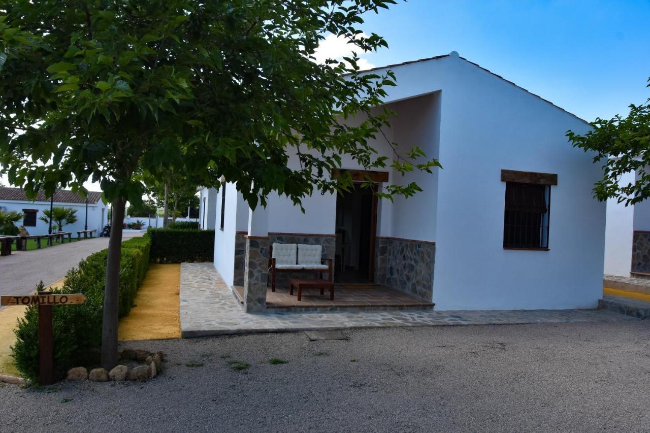 One-Bedroom Bungalow