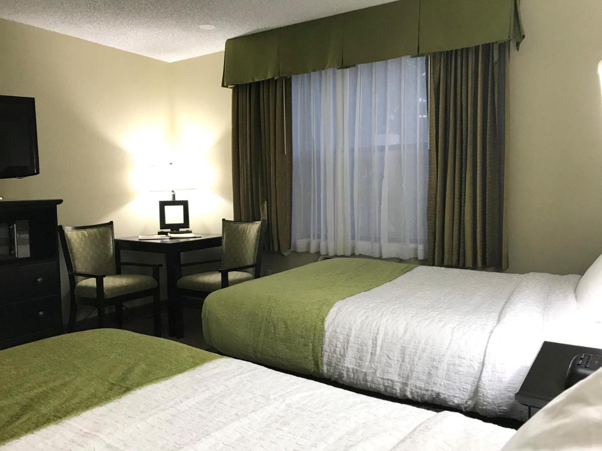 Standard Double Room,1071010948:JPEG