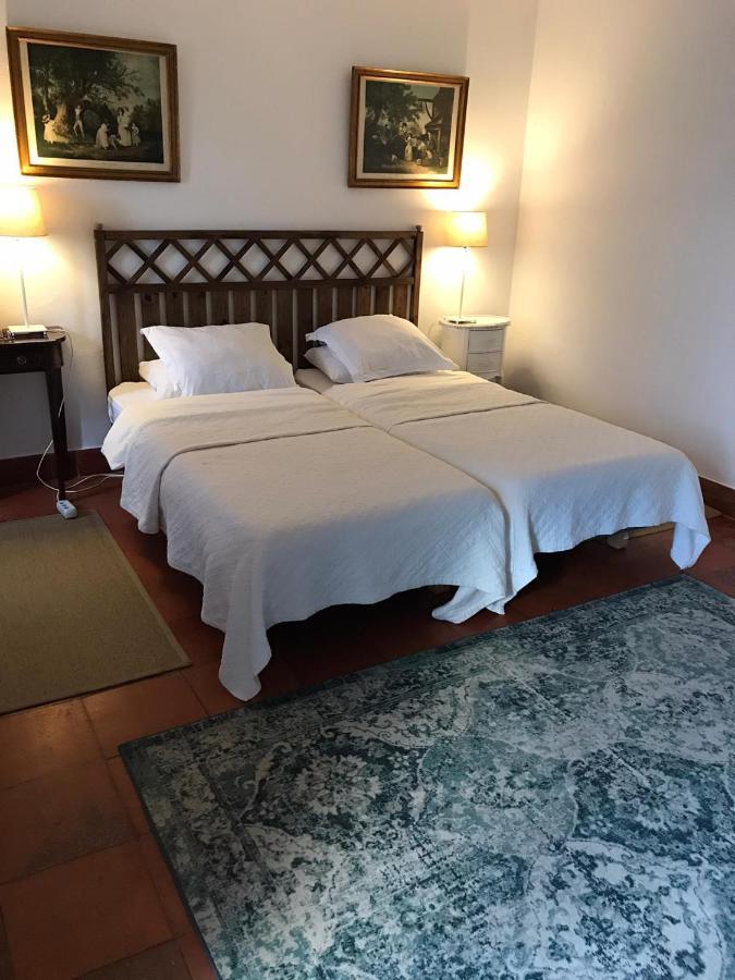 Superior Double or Twin Room Garden View