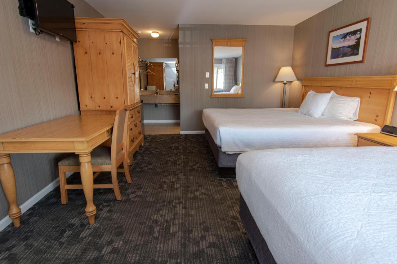 Poolside Room 1 King 1 Queen Bed