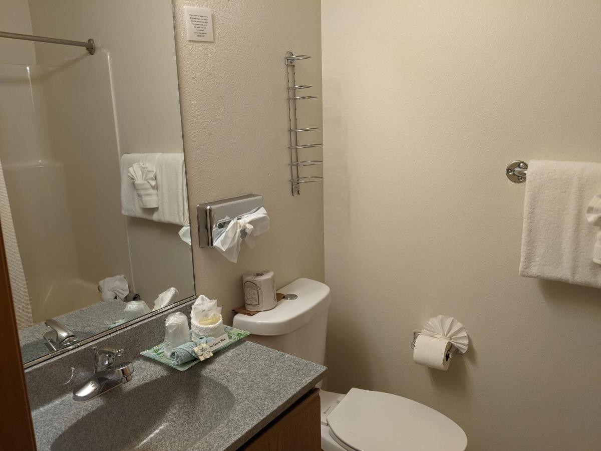 Standard King Room Dog Friendly