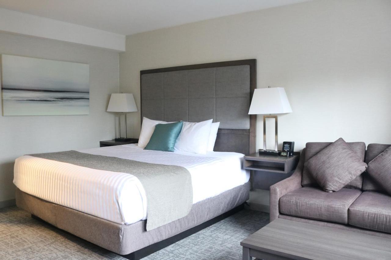 King Room with Sofa Bed - Non-Smoking,1598398572:JPEG