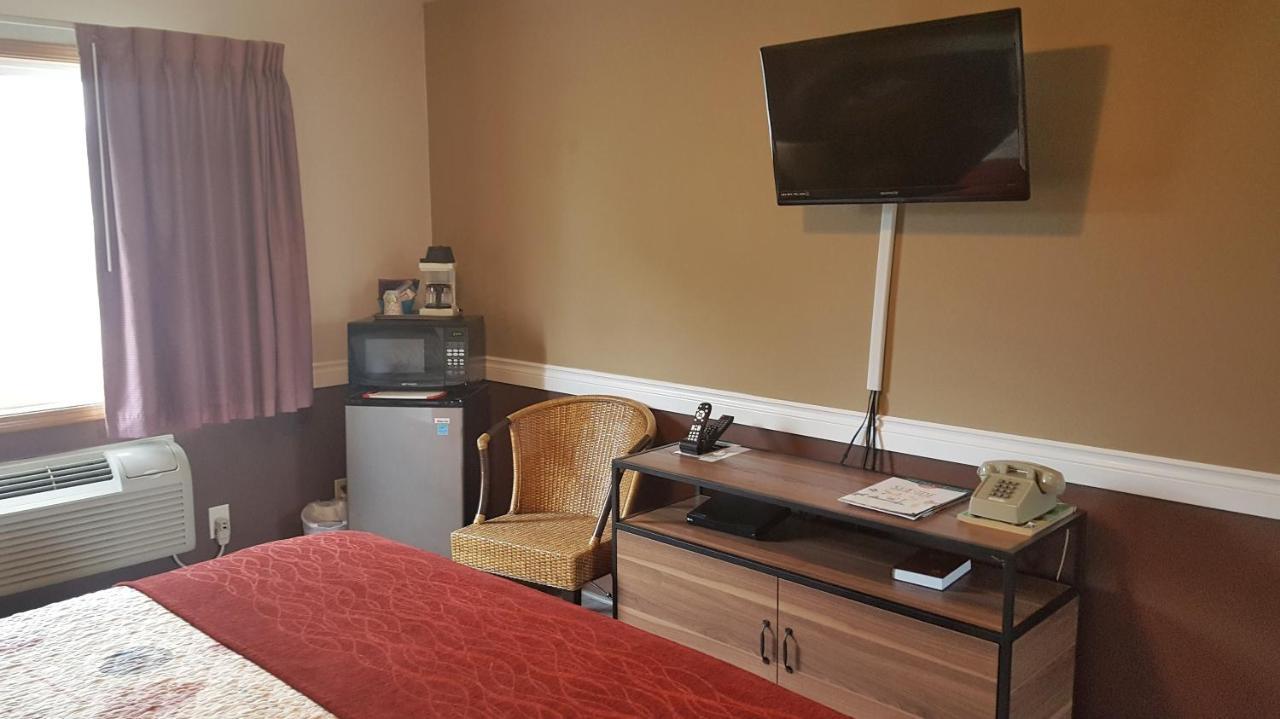 Standard King Room Dog Friendly