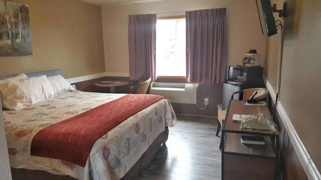 Standard King Room Dog Friendly