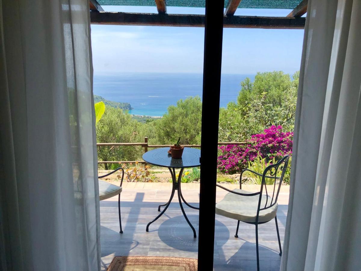 Studio Apartment Sea View