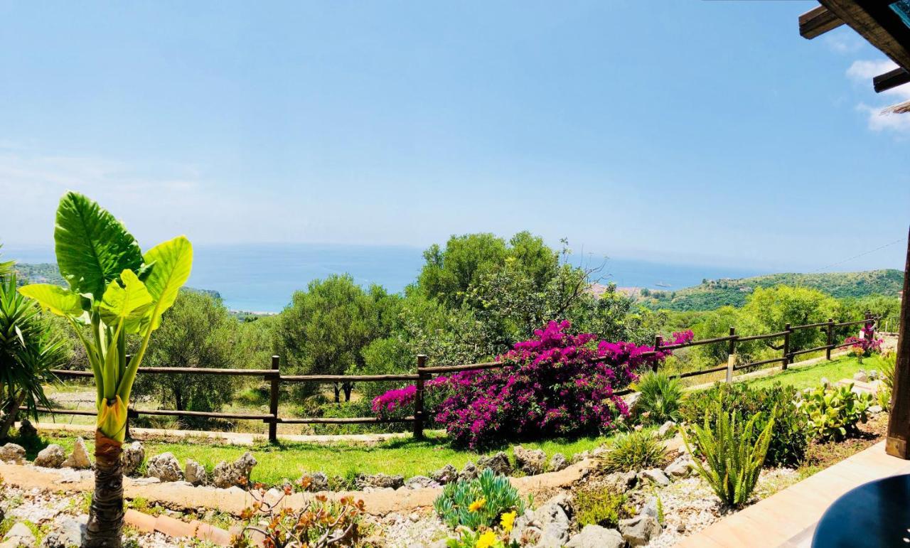 Studio Apartment Sea View
