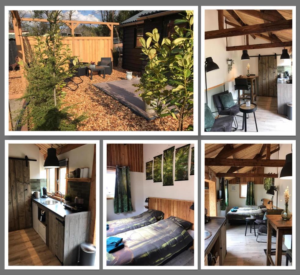 Deluxe Double Room Two Single Beds