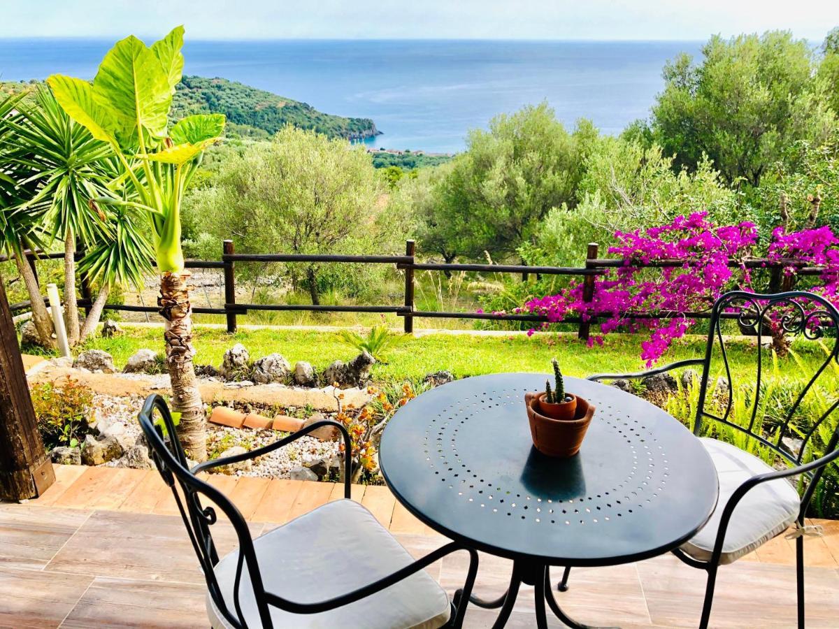 Studio Apartment Sea View
