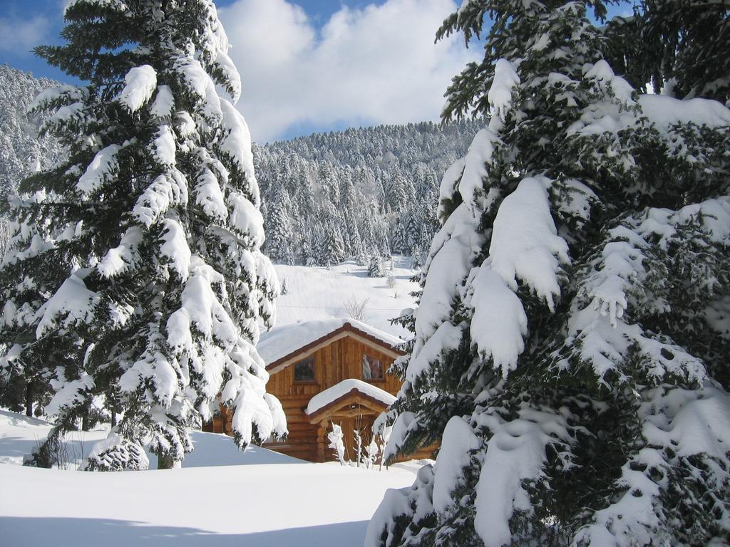 Chalet,663607668:JPEG
