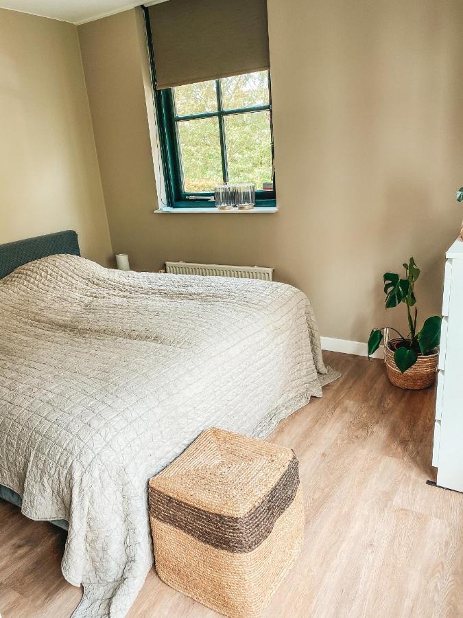 One-Bedroom House,1101821601:JPEG