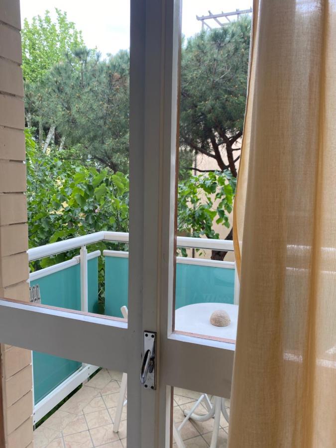 Standard Single Room,1126663263:JPEG