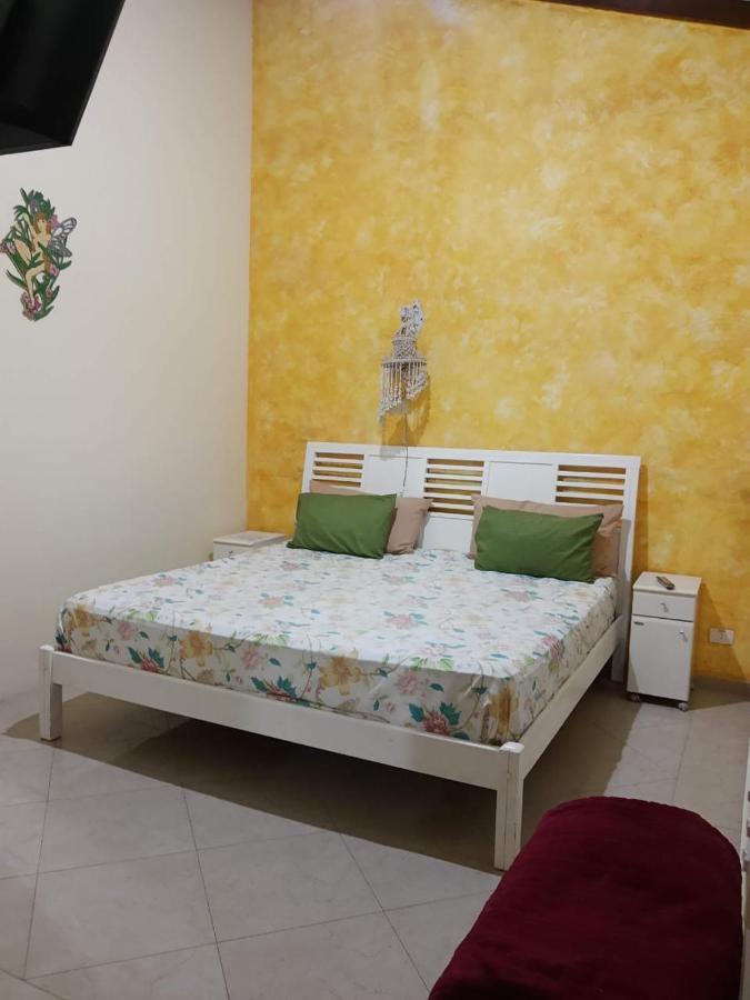 Standard Double Suite