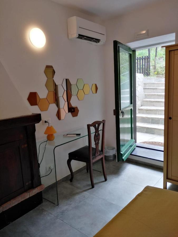 Standard Double Room,1117679241:JPEG